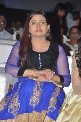 Dikkulu Choodaku Ramayya Movie Audio Launch